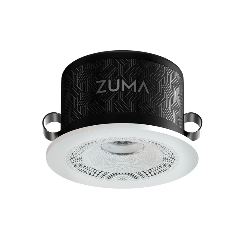 Zuma Luminaire Downlight