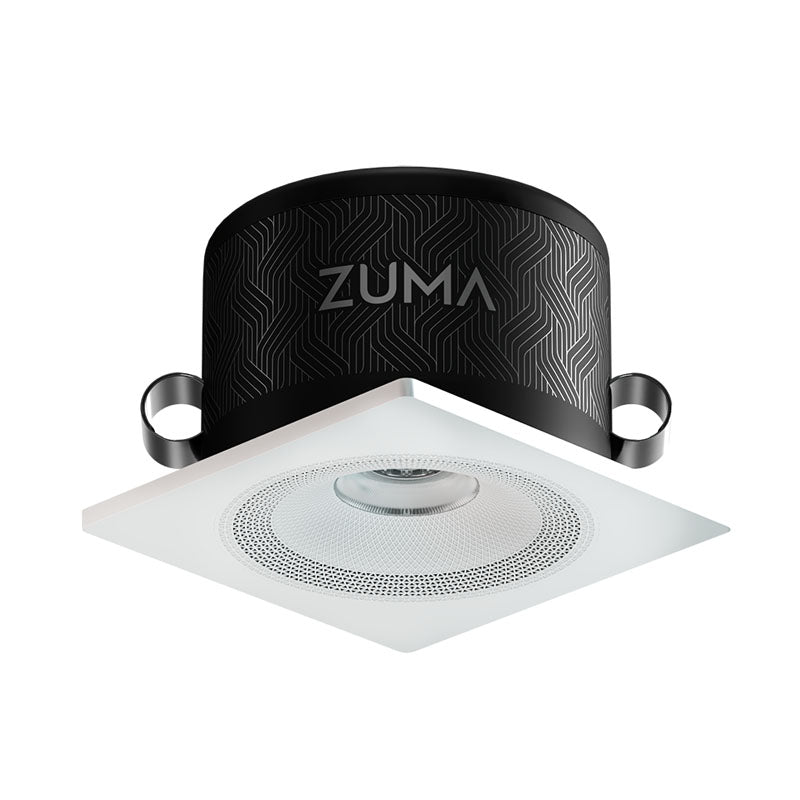 Zuma Luminaire Downlight